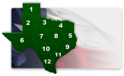 Texas Districts Map