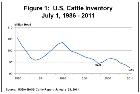 U.S. Cattle Inventory