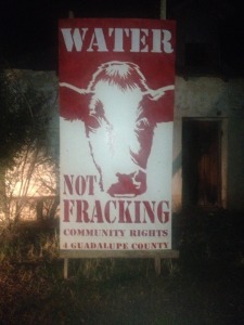 Cows not Fracking