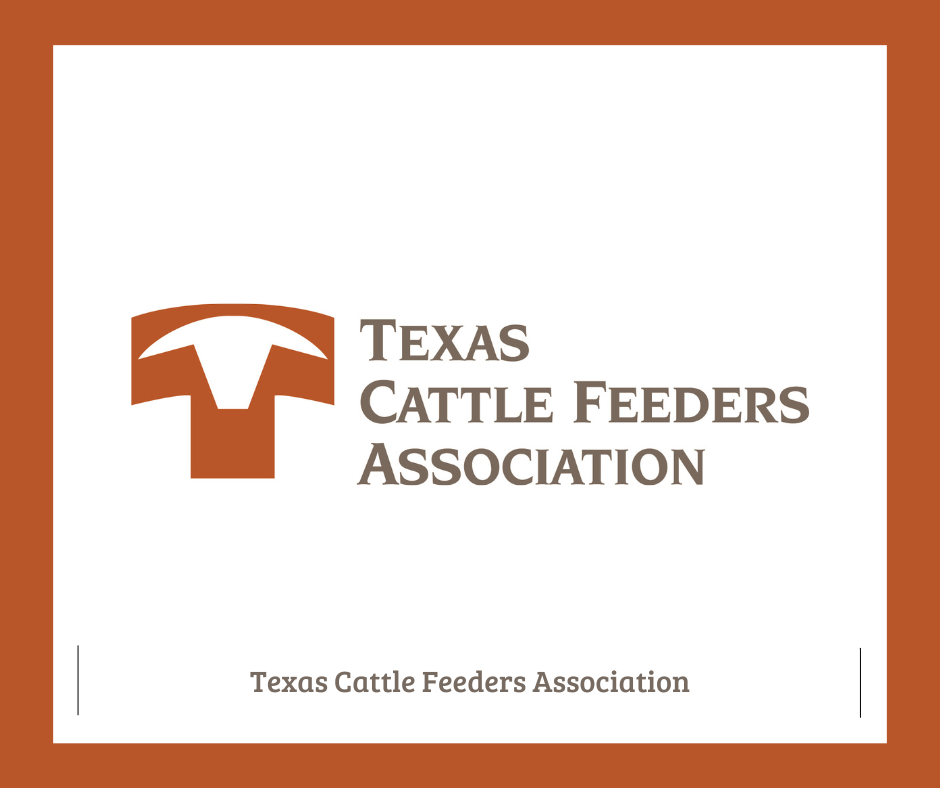 Texas Cattle feeders